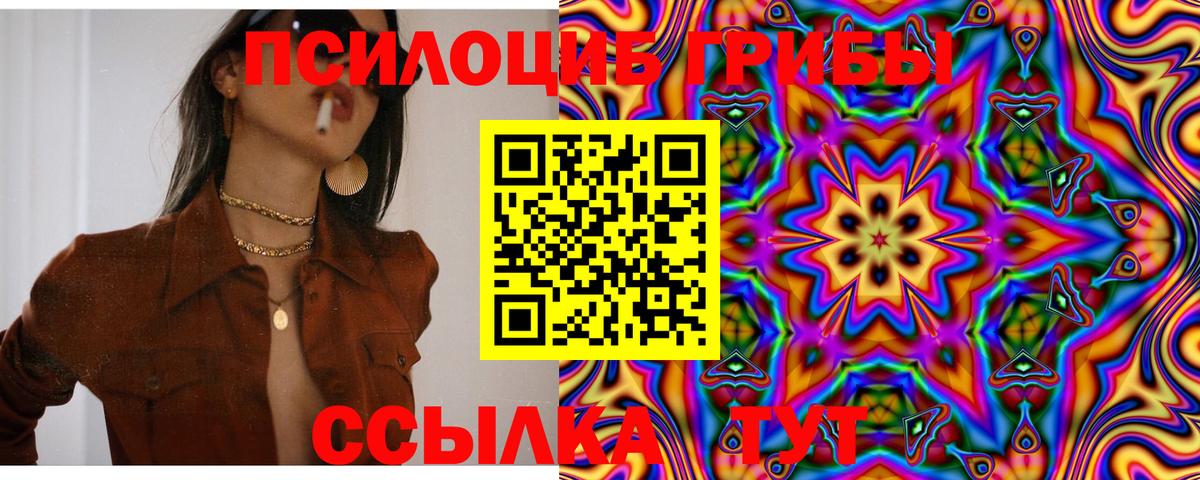 Псилоцибиновые грибы GOLDEN TEACHER Алексеевка