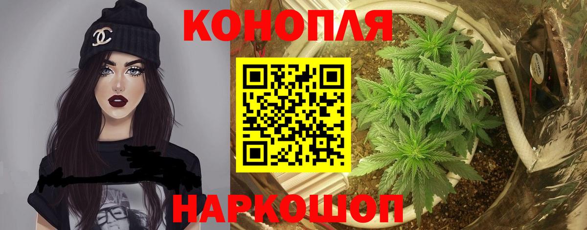 Бошки Шишки марихуана  Каннабис OG Kush  Вход с VPN  Конопля конопля  Алексеевка 